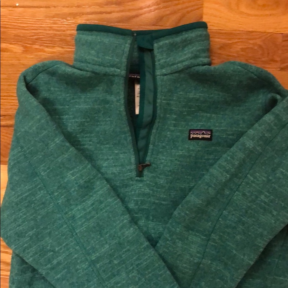 Green Patagonia “better sweater” pullover